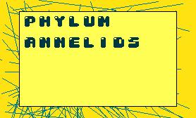 PhylumAnnelids